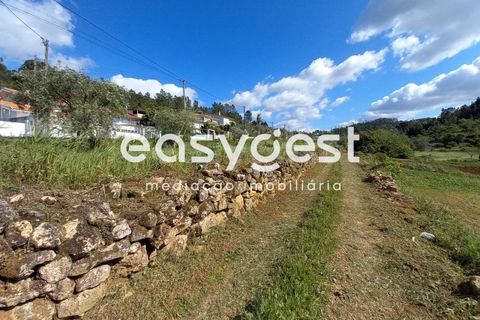 Terra a Assafarge e Antanhol, Coimbra, Assafarge e Antanhol - € 99.000 | Ref: RR88189 - foto 8