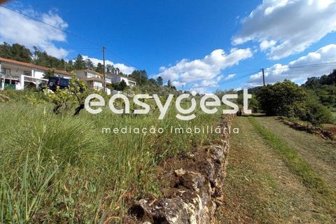 Terra a Assafarge e Antanhol, Coimbra, Assafarge e Antanhol - € 99.000 | Ref: RR88189 - foto 9
