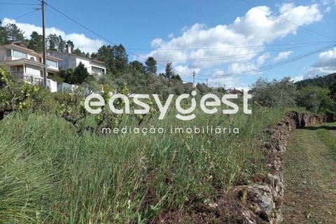 Terra a Assafarge e Antanhol, Coimbra, Assafarge e Antanhol - € 99.000 | Ref: RR88189 - foto 10
