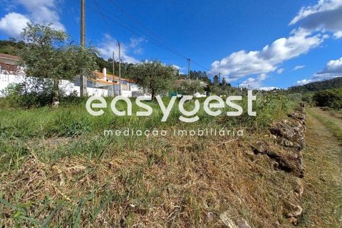 Terra a Assafarge e Antanhol, Coimbra, Assafarge e Antanhol - € 99.000 | Ref: RR88189 - foto 12