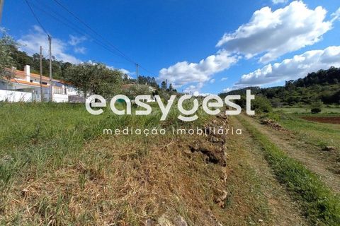 Terra a Assafarge e Antanhol, Coimbra, Assafarge e Antanhol - € 99.000 | Ref: RR88189 - foto 13