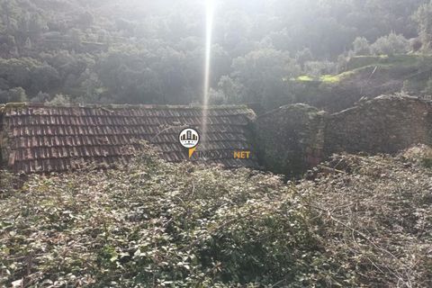 Villa i Castelo Branco, Castelo Branco, Castelo Branco - € 14.500 | Ref: 2659 - foto 7