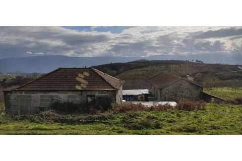 Landejendom i Gestaco, Porto, Gestaco - € 595.000 | Ref: EXP_78 - foto 14