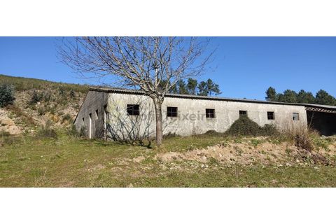 Landejendom i Gestaco, Porto, Gestaco - € 595.000 | Ref: EXP_78 - foto 17