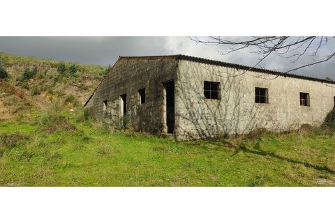 Landejendom i Gestaco, Porto, Gestaco - € 595.000 | Ref: EXP_78 - foto 19