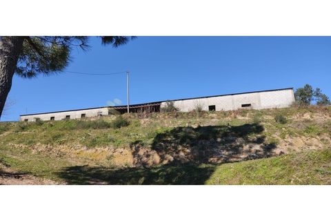 Landejendom i Gestaco, Porto, Gestaco - € 595.000 | Ref: EXP_78 - foto 20
