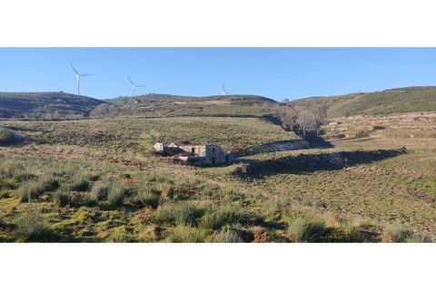 Landejendom i Gestaco, Porto, Gestaco - € 595.000 | Ref: EXP_78 - foto 21