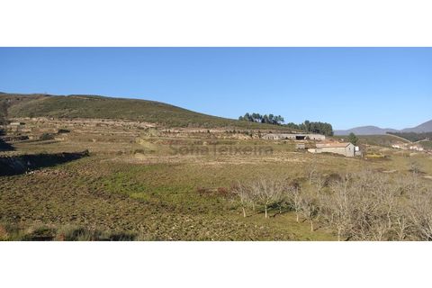 Landejendom i Gestaco, Porto, Gestaco - € 595.000 | Ref: EXP_78 - foto 22