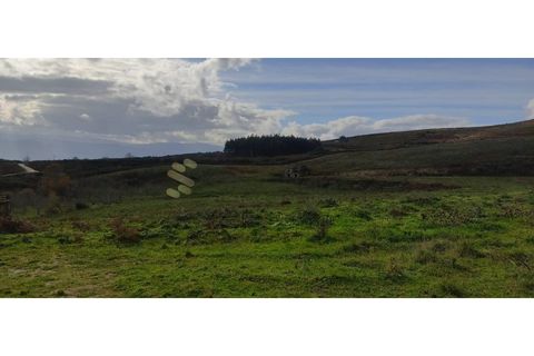 Landejendom i Gestaco, Porto, Gestaco - € 595.000 | Ref: EXP_78 - foto 23