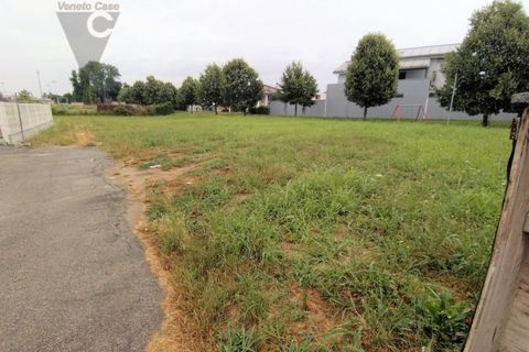Terra a Saonara, Padua, Saonara - € 105.000 | Ref: CSAO604 - foto 3