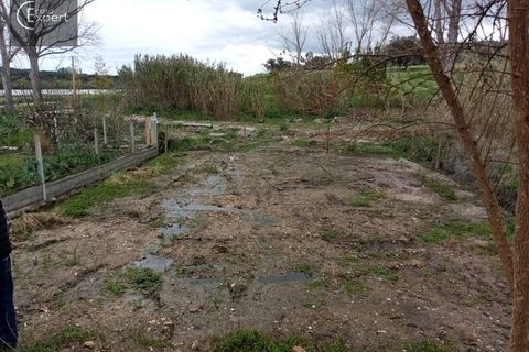 Terra a Torrao, Setubal, Torrao - € 57.000 | Ref: TER_127 - foto 3