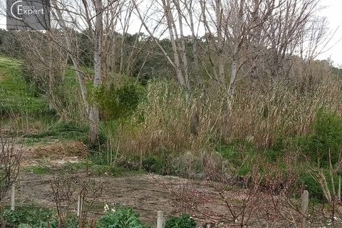 Terra a Torrao, Setubal, Torrao - € 57.000 | Ref: TER_127 - foto 4