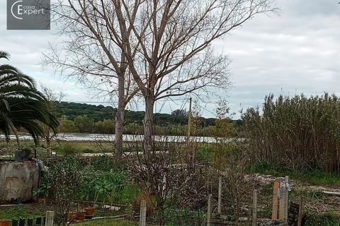 Terra a Torrao, Setubal, Torrao - € 57.000 | Ref: TER_127 - foto 5
