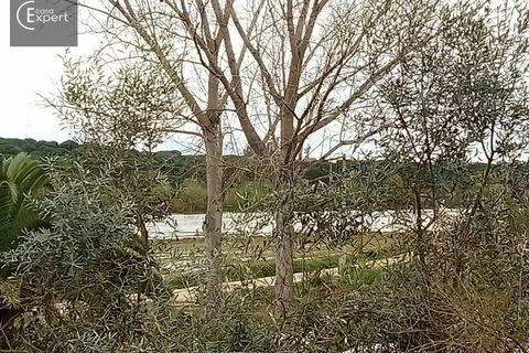 Terra a Torrao, Setubal, Torrao - € 57.000 | Ref: TER_127 - foto 7