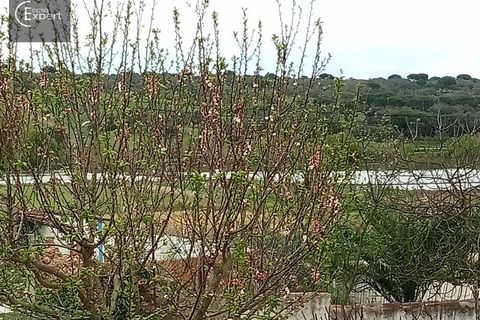 Terra a Torrao, Setubal, Torrao - € 57.000 | Ref: TER_127 - foto 11