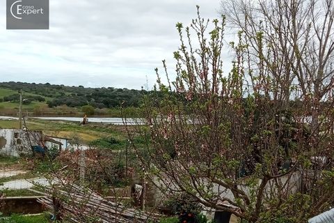 Terra a Torrao, Setubal, Torrao - € 57.000 | Ref: TER_127 - foto 13