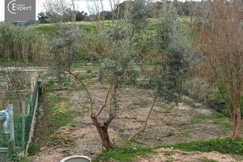 Terra a Torrao, Setubal, Torrao - € 57.000 | Ref: TER_127 - foto 15
