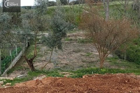 Terra a Torrao, Setubal, Torrao - € 57.000 | Ref: TER_127 - foto 16