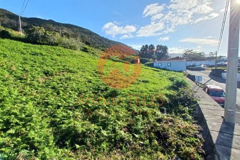 Helårsgrund i Velas, Sao Jorge, Velas - € 57.000 | Ref: T905 - foto 4