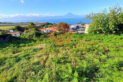 Helårsgrund i Velas, Sao Jorge, Velas - € 57.000 | Ref: T905 - foto 5