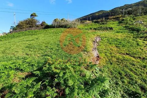 Helårsgrund i Velas, Sao Jorge, Velas - € 57.000 | Ref: T905 - foto 8