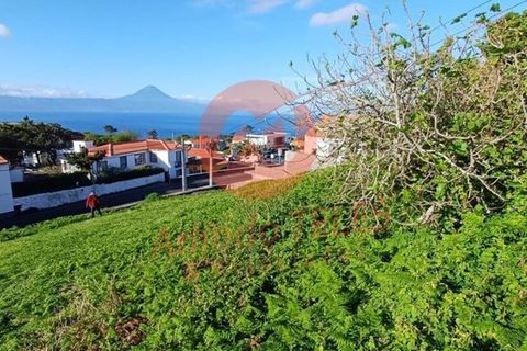 Helårsgrund i Velas, Sao Jorge, Velas - € 57.000 | Ref: T905 - foto 12