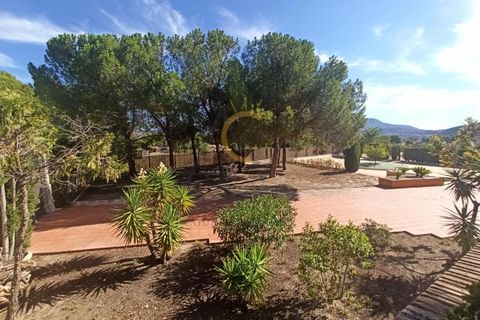 Villa i Monovar, Alicante, Monovar - € 950.000 | Ref: DNV0478 - foto 32