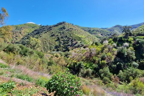 Lejlighed i Comares, Malaga, Comares - € 259.000 | Ref: AX1298 - foto 34