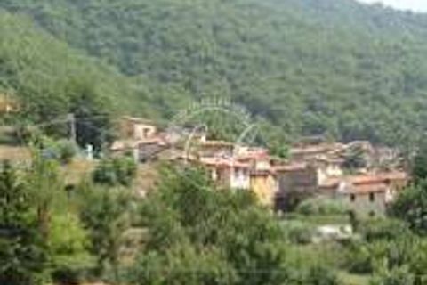 Erhvervsejendom i Seravezza, Lucca, Seravezza - € 20.000 | Ref: 2101 - foto 4