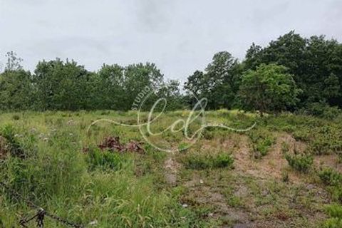 Erhvervsejendom i Seravezza, Lucca, Seravezza - € 20.000 | Ref: 2101 - foto 1
