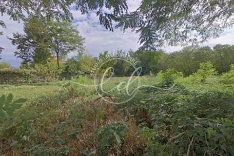 Erhvervsejendom i Seravezza, Lucca, Seravezza - € 20.000 | Ref: 2101 - foto 2