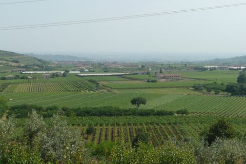 Terra a Tregnago, Verona, Tregnago - € 210.000 | Ref: 1396 - foto 5