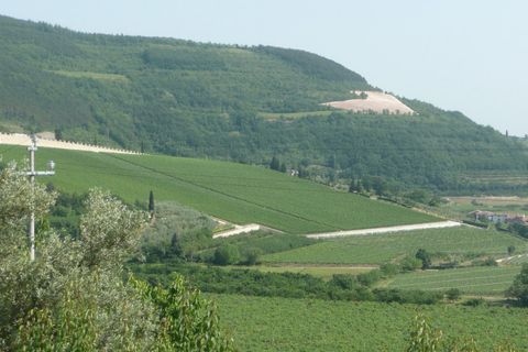 Terra a Tregnago, Verona, Tregnago - € 210.000 | Ref: 1396 - foto 6