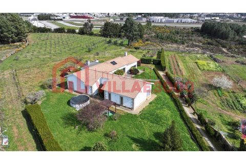 Villa a Vila Real, Vila Real, Vila Real - € 495.000 | Ref: CAS_321 - foto 5