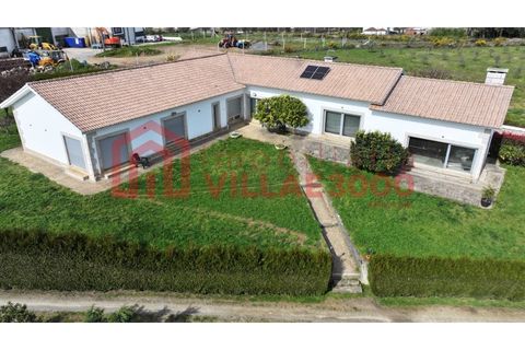 Villa a Vila Real, Vila Real, Vila Real - € 495.000 | Ref: CAS_321 - foto 8