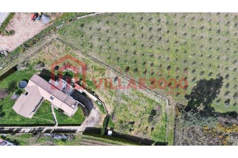Villa a Vila Real, Vila Real, Vila Real - € 495.000 | Ref: CAS_321 - foto 9