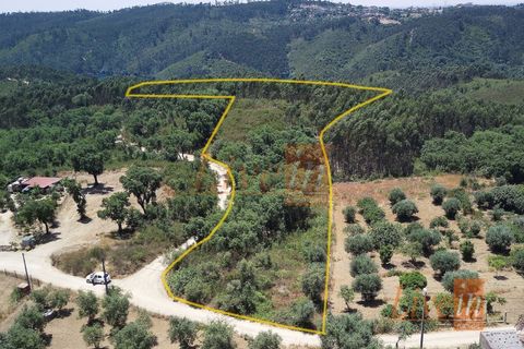 Tomt i Serra, Santarem, Serra - € 12 500 | Ref: 9227DC - foto 2