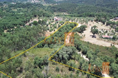 Tomt i Serra, Santarem, Serra - € 12 500 | Ref: 9227DC - foto 3