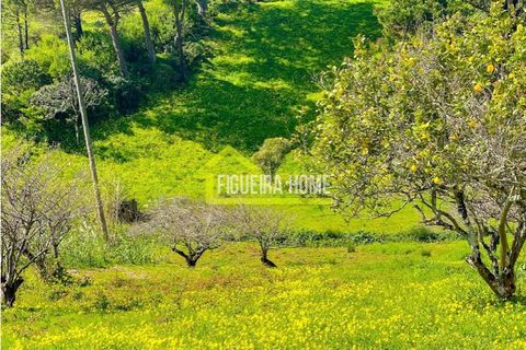 Helårsgrund i Buarcos, Coimbra, Buarcos - € 200.000 | Ref: FH2366 - foto 10