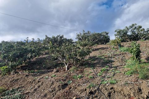 Finca a Itrabo, Granada, Itrabo - € 318.000 | Ref: M537 - foto 16