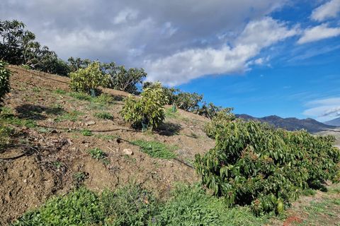 Finca a Itrabo, Granada, Itrabo - € 318.000 | Ref: M537 - foto 18