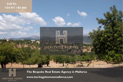 Villa a Sol De Mallorca, Mallorca, Sol De Mallorca - € 4.500.000 | Ref: SDV521R - foto 28