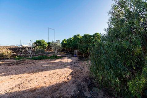 Villa i Lajares, Fuerteventura, Lajares - € 735.000 | Ref: #SMVPTCHLAJ30123 - foto 14