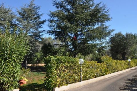 Villa a Carovigno, Brindisi, Carovigno - € 388.000 | Ref: 122658 - foto 27