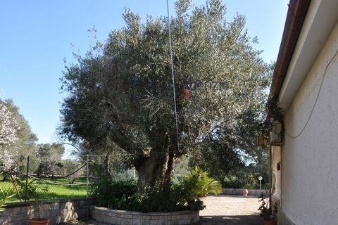 Villa a Carovigno, Brindisi, Carovigno - € 388.000 | Ref: 122658 - foto 22
