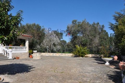 Villa a Carovigno, Brindisi, Carovigno - € 388.000 | Ref: 122658 - foto 21