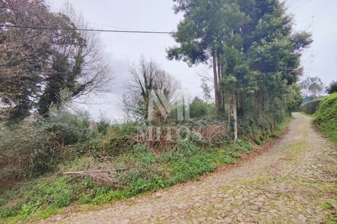 Helårsgrund i Venade e Azevedo, Viana do Castelo, Venade e Azevedo - € 128.000 | Ref: R941 - foto 1
