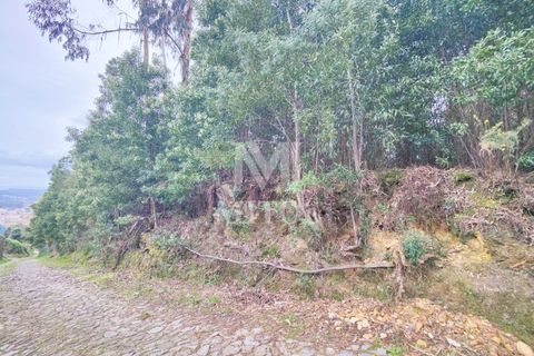Helårsgrund i Venade e Azevedo, Viana do Castelo, Venade e Azevedo - € 128.000 | Ref: R941 - foto 2