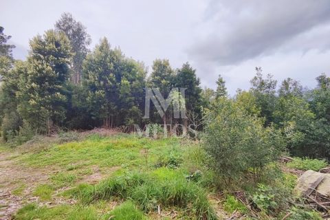 Helårsgrund i Venade e Azevedo, Viana do Castelo, Venade e Azevedo - € 128.000 | Ref: R941 - foto 3