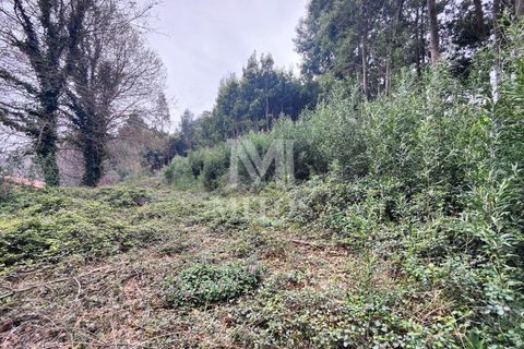 Helårsgrund i Venade e Azevedo, Viana do Castelo, Venade e Azevedo - € 128.000 | Ref: R941 - foto 4